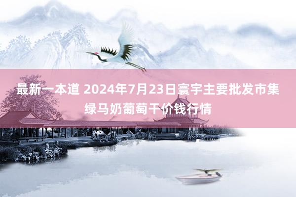 最新一本道 2024年7月23日寰宇主要批发市集绿马奶葡萄干价钱行情