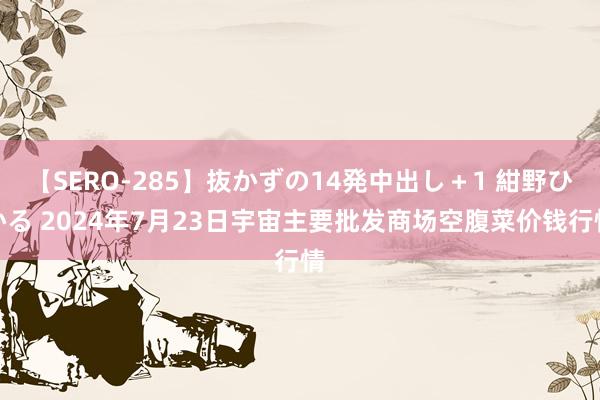 【SERO-285】抜かずの14発中出し＋1 紺野ひかる 2024年7月23日宇宙主要批发商场空腹菜