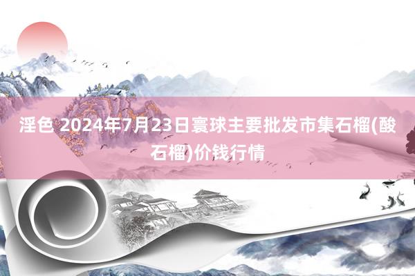 淫色 2024年7月23日寰球主要批发市集石榴(酸石榴)价钱行情