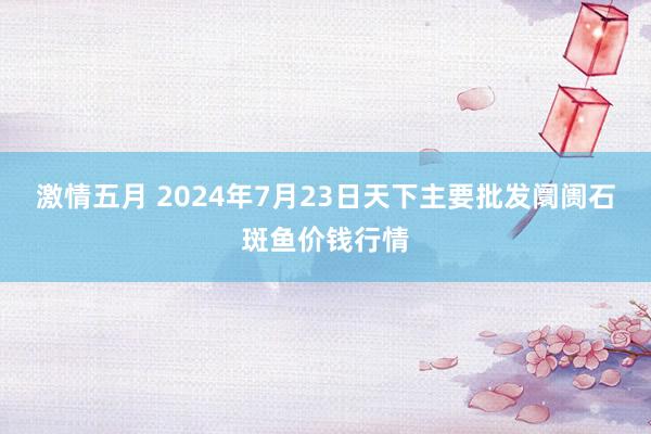 激情五月 2024年7月23日天下主要批发阛阓石斑鱼价钱行情