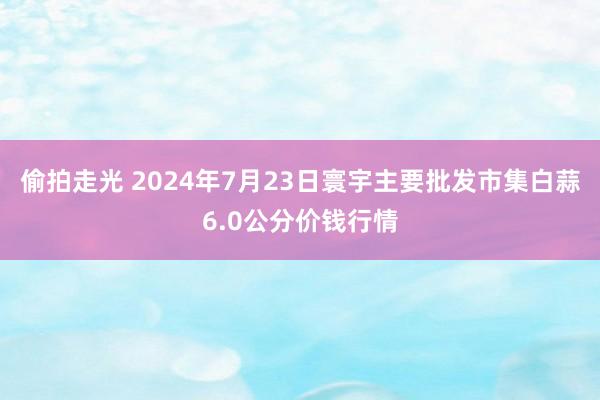 偷拍走光 2024年7月23日寰宇主要批发市集白蒜6.0公分价钱行情