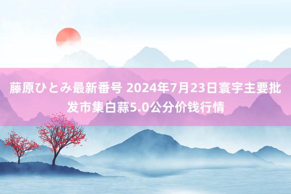 藤原ひとみ最新番号 2024年7月23日寰宇主要批发市集白蒜5.0公分价钱行情