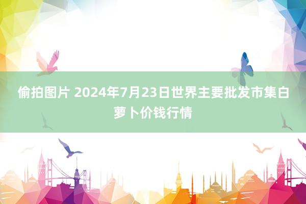 偷拍图片 2024年7月23日世界主要批发市集白萝卜价钱行情