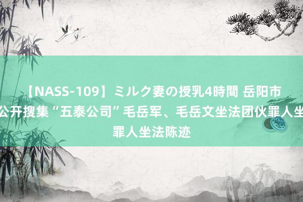 【NASS-109】ミルク妻の授乳4時間 岳阳市警方：公开搜集“五泰公司”毛岳军、毛岳文坐法团伙罪人