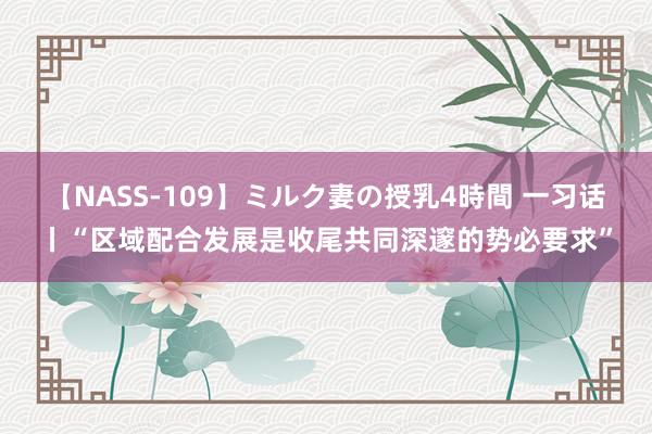 【NASS-109】ミルク妻の授乳4時間 一习话丨“区域配合发展是收尾共同深邃的势必要求”