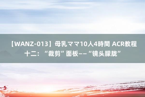 【WANZ-013】母乳ママ10人4時間 ACR教程十二：“裁剪”面板——“镜头朦胧”