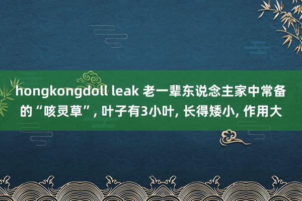 hongkongdoll leak 老一辈东说念主家中常备的“咳灵草”, 叶子有3小叶, 长得矮小,