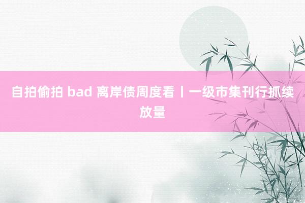 自拍偷拍 bad 离岸债周度看丨一级市集刊行抓续放量