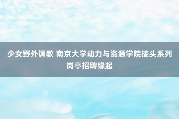 少女野外调教 南京大学动力与资源学院接头系列岗亭招聘缘起