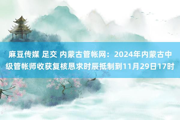 麻豆传媒 足交 内蒙古管帐网：2024年内蒙古中级管帐师收获复核恳求时辰抵制到11月29日17时